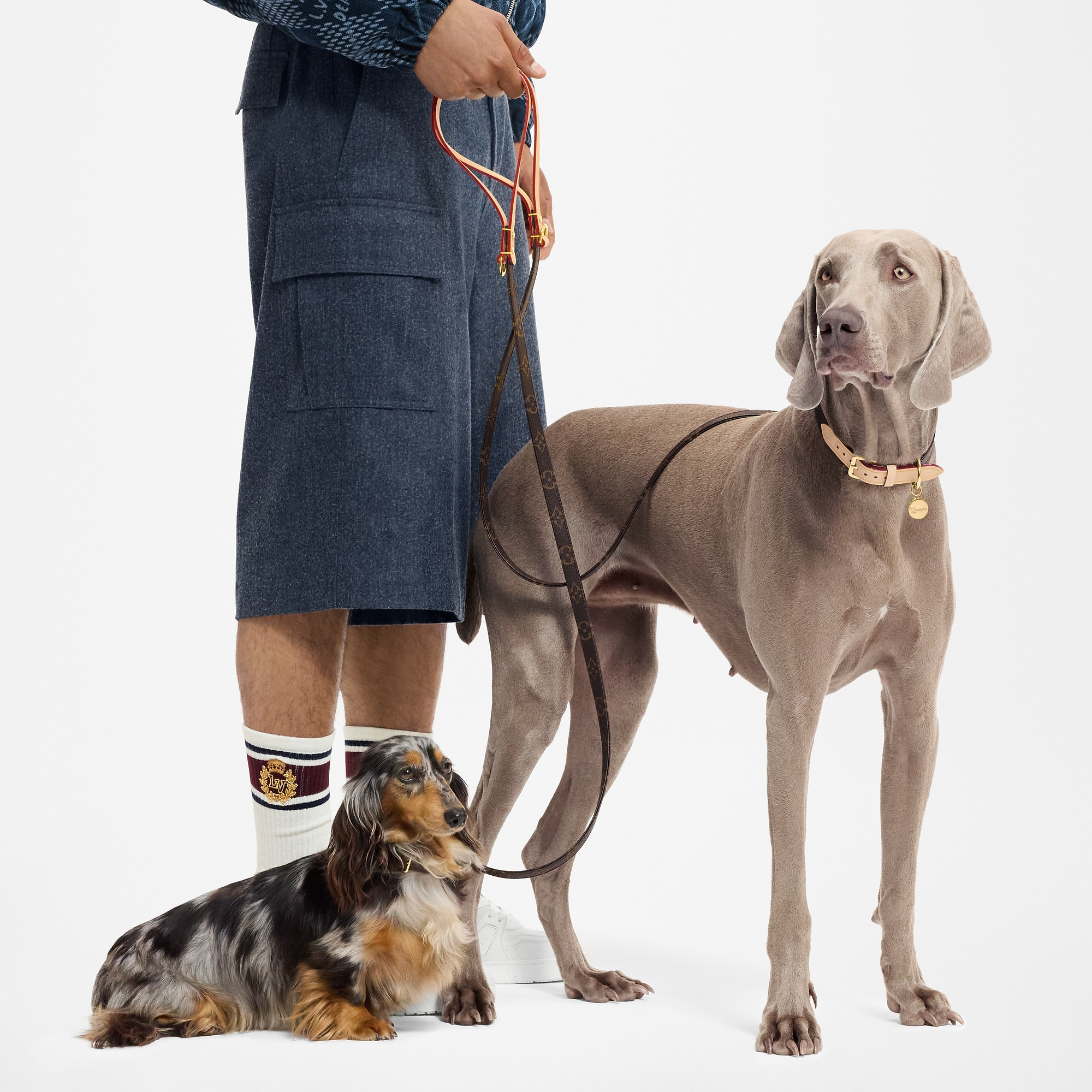 ドッグ リーシュ MM - 画像 (5)