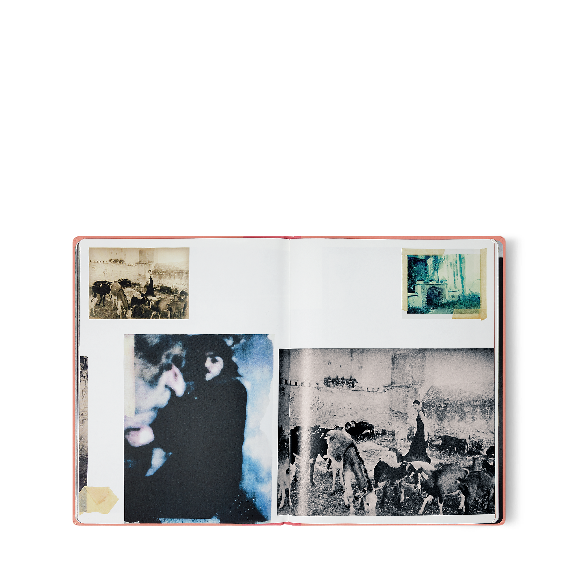 ファッション・アイ メキシコ - 画像 (3)